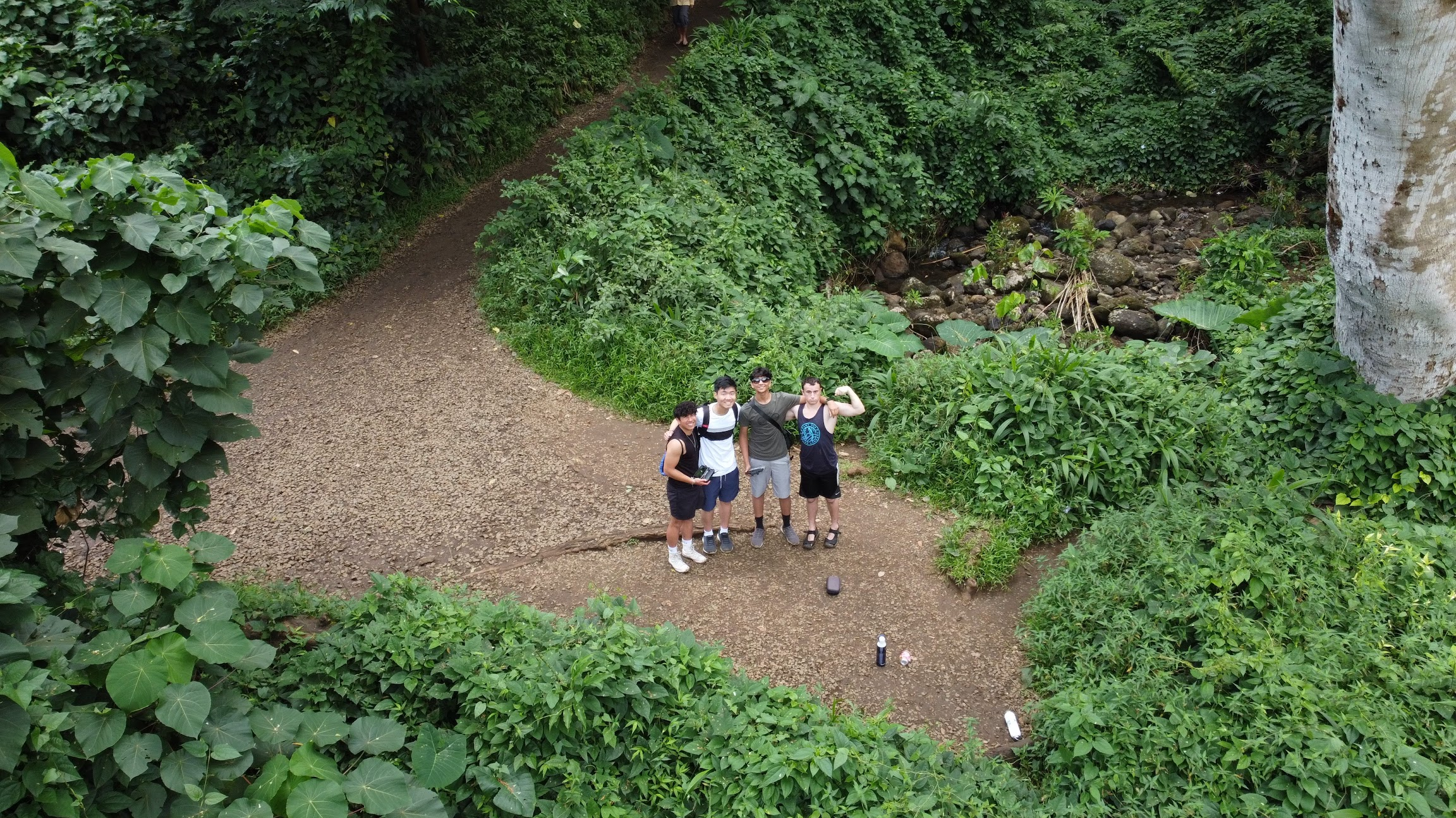 The four co-founders together on a jungle trail, an overhead shot from 2023